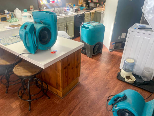 Best Basement water damage restoration  in Elizabeth Lake, CA