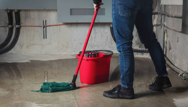Best Residential water damage restoration  in Elizabeth Lake, CA