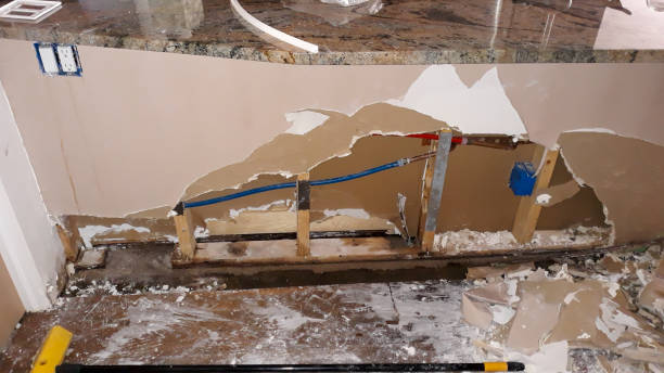 Best 24/7 water damage repair  in Elizabeth Lake, CA