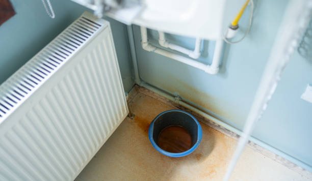 Best Water damage cleanup near me  in Elizabeth Lake, CA
