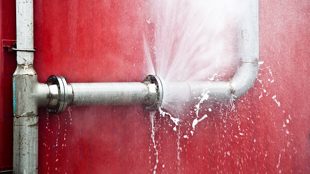 Best Flood restoration services  in Elizabeth Lake, CA